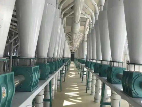 河套面粉蒙廚、蒙雪花、巴蒙久星系列全國(guó)招商暨軟件開(kāi)發(fā)合作伙伴招募