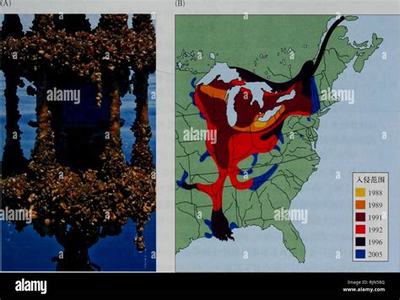 《天使之戰(zhàn)H5》 掘金游戲市場(chǎng)，共贏銷(xiāo)售代理新機(jī)遇